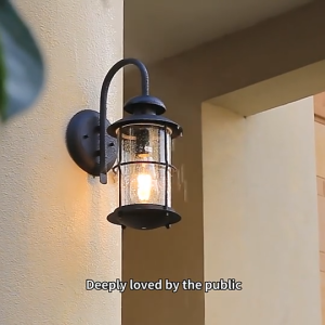 Phube Lighting Industrial Outdoor Wall Lamp Waterproof Metal Sconce for Patio & Garage | Vintage Style Durable & All-Weather Safe Lighting