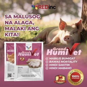 Grand Humivet for pig🐷