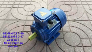 Động cơ motor điện 3 pha 15kw chính hãng dây đồng KOREA