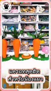 🌱เสาแครอท สำหรับแมว ลายน่ารัก แครอทลับเล็บแมว ที่ลับเล็บแมว ของเล่นแมว แครอทแมว รางบอลแมว