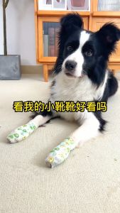 Pet self-adhesive  Bandage For Puppy Dog Cat Socks Disposable Outing Anti-Dirty Leggings Foot Foot Cover
