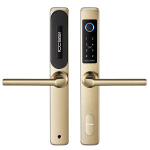 ICCSSI | Fingerprint Water-resistant Smart Lock
