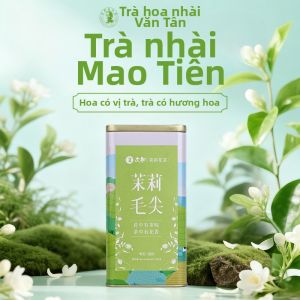 REVIVALIST TEA | Trà Máo Jiān Scented Jasmine Cold Brew 200g