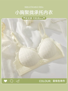 Wireless Seamless Womens Bra Soft Support Thin Cup Gathered Underwear Prevent Sagging Summer Breathable Comfortable Innerwear