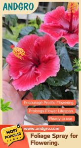 ANDGRO Foliar Spray for Flowering & Foliar Spray for Healthy Leaves & White Oil Bundle
