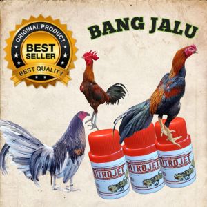 Nitrojet Suplemen Harian Vitamin Ayam aduan petarung Laga Biar Galak