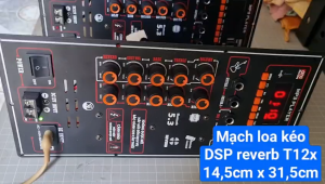 MẠCH LOA KÉO DSP REVERB T12x - kích thước 145cm x 315cm ( lựa chọn có mic - không mic )