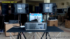 WEMICGLOBALSOUND ชุดเครื่องเสียงร้องคาราโอเกะกลางแจ้ง เสียงดี ลำโพง10นิ้ว กำลังขับ400วัตต์ แอมป์ขยายเสียง Bluetooth ไมค์ลอยคู่ ขาตั้ง