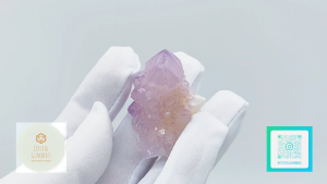 SG LOCAL - Authentic Spirit Quartz 南非精靈水晶