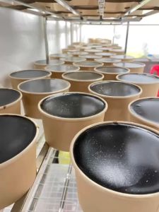 Bột Nấu Thạch Đen Chuẩn Cao Bằng 500g ( Nấu được 10kg Thạch Đen) kèm cách nấu thành công