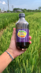 SPECIAL PROMO JIAWANG JIA WANG Pupuk Kalium Silica Paket Hemat Isi 4 Botol DAPATKAN HADIAH GRATIS