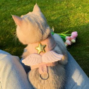 Pet Safety Vest Leash Anti-Escape Cat Dog Harness Outdoor Travel Breathing Space Adjustable Comfortable No Pulling Required