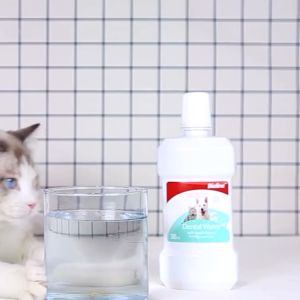 น้ำยาผสมการดูแลสุขภาพในช่องปาก ลดปัญหาปูน 300ml - Bioline Dental Water (B2141)