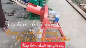 Máy băm chuối mịn Tiết kiệm chi phí đảm bảo chất dinh dưỡng xơ cho vật nuôi