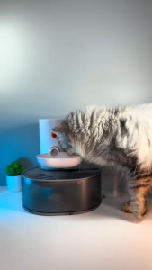 Greenpets Pet Water Fountain For Cat 3L Wireless Dog Water Dispenser Tilt Cat Dog Water Dispenser