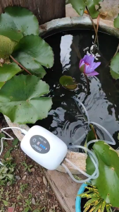 ปั๊มออกซิเจน SEBO  2 หัวทราย 2โหมดการทำงาน เหมาะสำหรับตู้ปลากลางแจ้ง เหมาะสำหรับนักตกปลา มีแบตในตัว 4800mAh พร้อมแผงโซล่าเซลล์ 6W ชาร์จไฟ