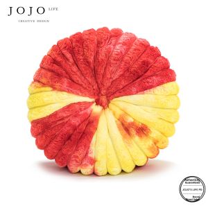 JOJOS L. PD Outlined Sofa Living Room Zafu Pillow Cream Cushion Cover Handmade Woven Polyester Square Shape Universal Use