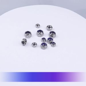 Nylon Lock Nut 304 Stainless Steel Hexagon M2 M2.5 M3 M4 M5 M6 M8 M10 M12 Hex Lock Nut DIN985