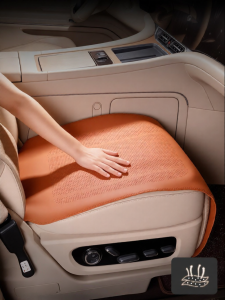 Summer Coolness All-Season Car Cushions