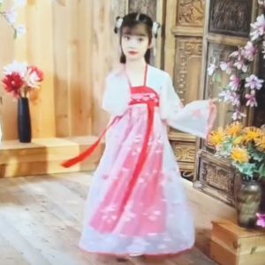 Childrens Clothes Hanfu Girls Summer Fairy Dress Costume Kids Chinese Style Set