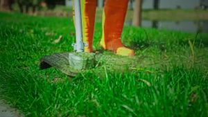 Cordless Bush Cutter Brushless INGCO CSTLI202522 Potong Rumput P20S