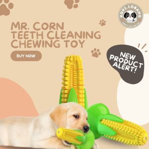 ✅[SG] MR. CORN TEETH CLEANING CHEWING TOY ★ FREE Enrichment Tips & Ideas e-Guide Worth $7 ★ Enrichment ★ SG Stock ★ Kopi Lobang ★ For Dog Cat ★ Perfect for Gift