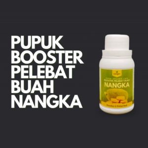 Pupuk Booster Buah Nangka Agar Cepat Berbuah Lebat / Pupuk Organik Pelebat Buah Nangka Penyubur