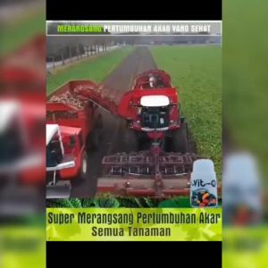 Vit-O: Vitamin Organik Tanaman & Pupuk Organik Cair Nutrisi Segala Tanaman 1 Liter