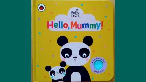 หนังสือผิวสัมผัส Ladybird - Small Baby Touch Series