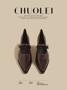 CHUOLEI | Spring New Design Mary Jane Leather Shoes