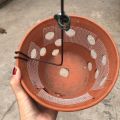 Lưới Dán Chậu Tránh Làm Rơi Giá Thể (Cuộn 5cm x 90m). 