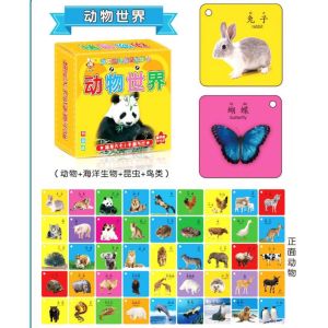 [Ready Stock] Baby/Toddler Learning Flash Card with Diff Theme (Fruits/Number/Character Chinese HYPY/Vege) Gift
