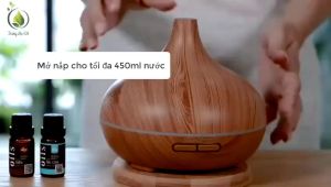 Máy phun sương khuếch tán tinh dầu thơm phòng đèn LED 500ml Máy phun tinh dầu tạo ẩm phòng điều hoà có điều khiển - BUM STORE