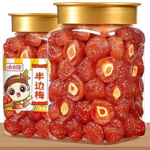 Sour and Sweet Canned Plum Slices 500g