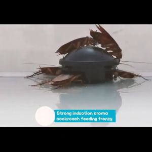 Long Acting Cockroach Bait: A Safe & Effective Solution
