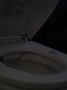 Portable Household Smart Toilet Cleaner Wall-mounted Sterilization With USB Charging LED Toilet Light For Home Bathroom Travels