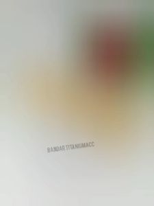 PERHIASAN WANITA EMAS 24K GELANG TANGAN KENDARI MOTIF POLOS DUBAI