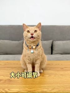 Cat camphor wood collar dog collar cat collar anti-flea anti-lice mite repellent pet flea collar