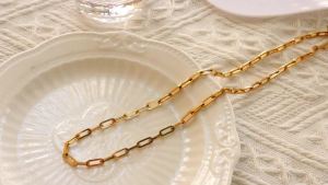 Hot Fashion Paperclip Link Chain Stainless Steel Necklace Gold Color Chain Gothic For Women Men Necklace Jewelry