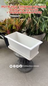 POT BUNGA TANAMAN PANJANG ELANG EGP 50 PUTIH + TATAKAN BAWAH PUTIH