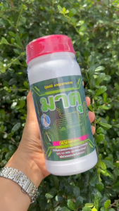 ️มาคุ (ฝาแดง) 500cc ปุ๋ยทาหน้ายาง ช่วยเพิ่มประสิทธิภาพ พร้อมบำรุงหน้ายาง ของแท้100% ฮอร์โมนทาหน้ายางพารา