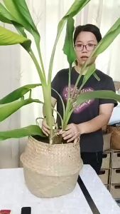 u2y7 1Pc Home Decor Rattan Storage Organizer Basket Plant Flower Pots Wickerwork Basket Foldable Gardening Decoration Boho Style Natural Handmade