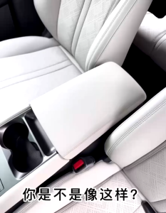 BYD Atto 2 Armrest Storage Box & Center Console Organizer Tray | Custom Fit ABS Non-Slip Interior Car Accessories