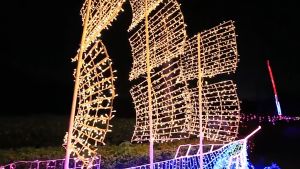 10M LED Deepavali Lights Strip Fairy Diwali Lights Outdoor Waterproof 8Modes Lighting For Diwali Deepavali Decoration