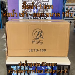 1 แรง รูปแบบ JETS-100 ปั๊มน้ำเจ็ท สแตนเลส บิโอ JETS-100 บิววัต บีอร์มัค ผู้ชาย รูปแบบเป็น 2 แรง