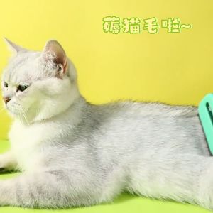 One Click Hair Removal Pet Comb Hair Floating Comb Steel Needle Comb For Cat & Dog Sikat Kucing 宠物梳子原创设计卡通表情猫梳子去浮毛