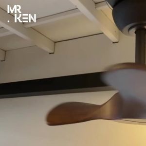 พัดลมเพดาน MR.KEN รุ่น PETITE NL DC Motor พัดลมเพดาน ใบพัดไม้แท้ ขนาด 22" พร้อมรีโมทคอนโทรล