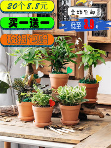 Large Coarse Clay Potted Succulent Plant Pot Pastoral Style Ideal for Desktop or Ground Space