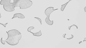 Glossy Black Terrazzo Contact Paper Peel and Stick Countertops Waterproof Black Granite Countertop Contact Paper Peel and Stick Table Top Self Adhesive Removable Wallpaper Vinyl 12"x80"