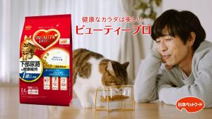 Hạt cho mèo con Beauty Pro Kitten Thức ăn cho mèo dưới 12 tháng hương cá 600g Petemo Pet Shop